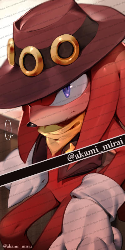 Knuckles The Echidna (Sonic (Series)) Rule 34 Image