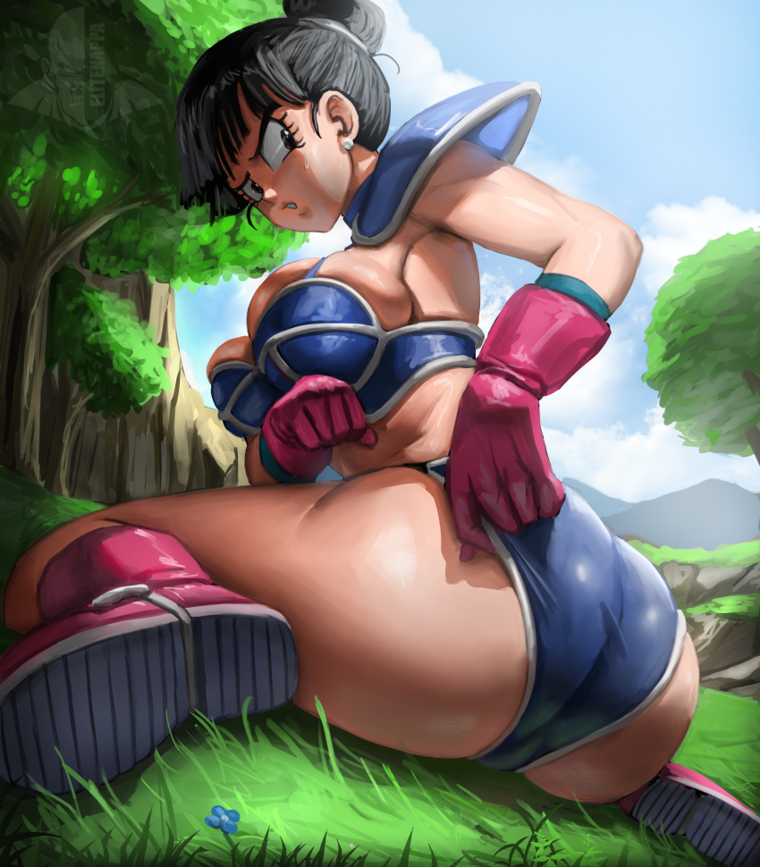 Chi-Chi (Dragon Ball) Rule 34 Image
