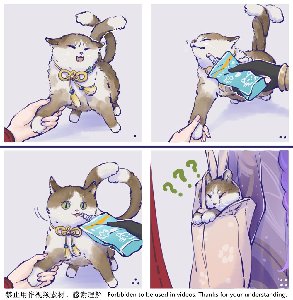 Kirara (Genshin Impact) Rule 34 Image