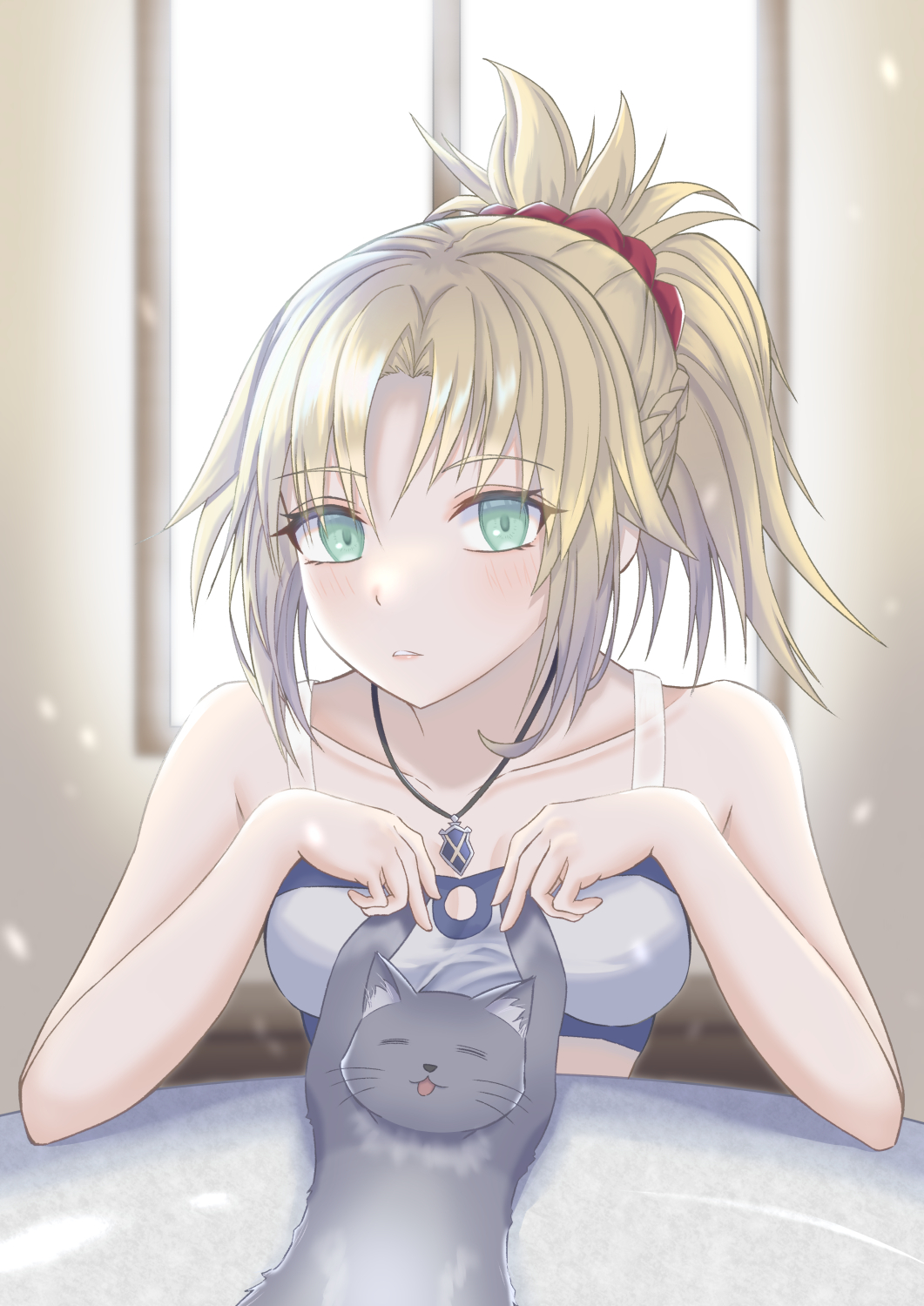 Mordred (Fate) Rule 34 Image