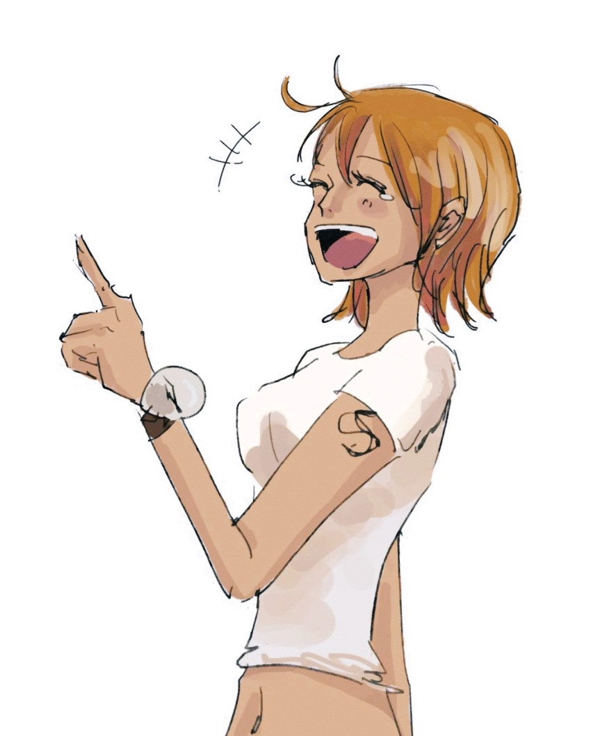 Nami (One Piece) Rule 34 Image