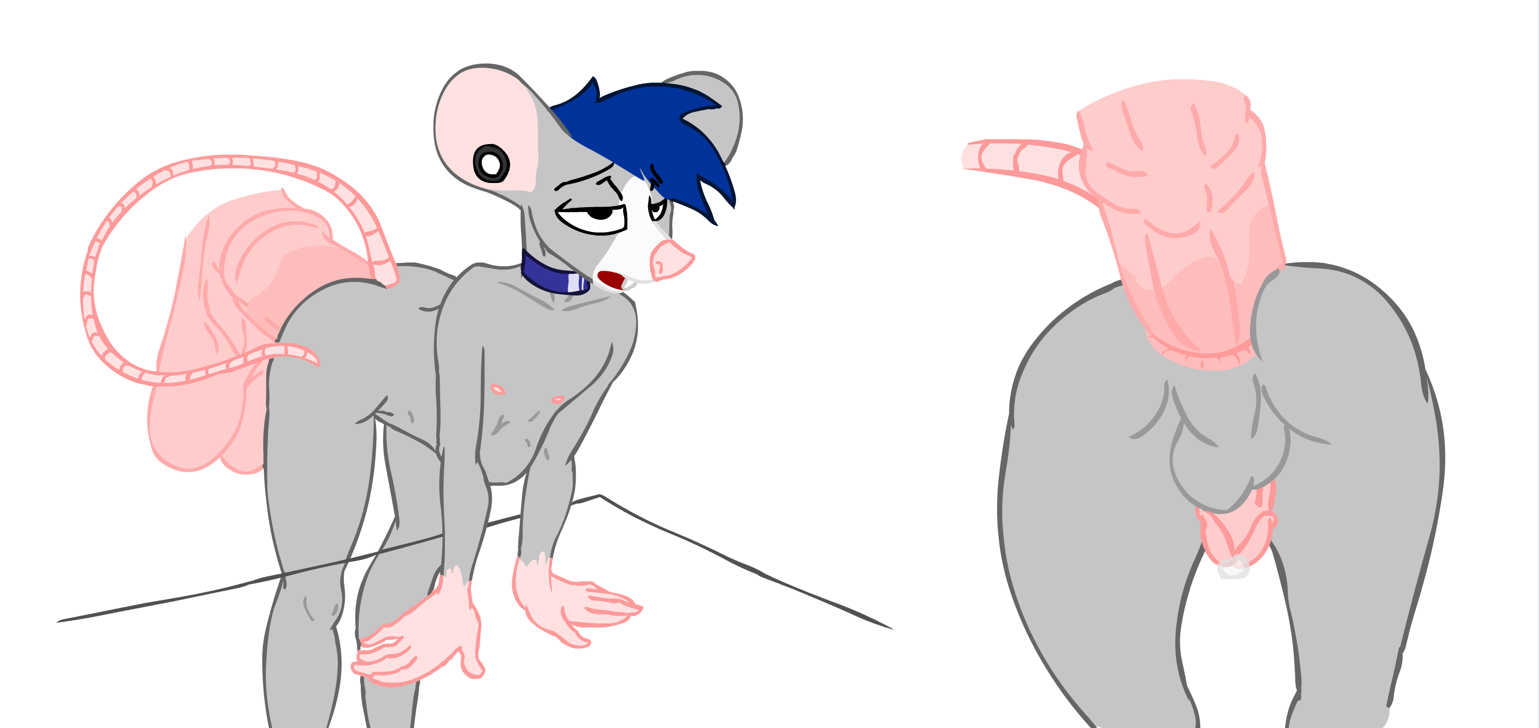 Anal Rule 34 Image