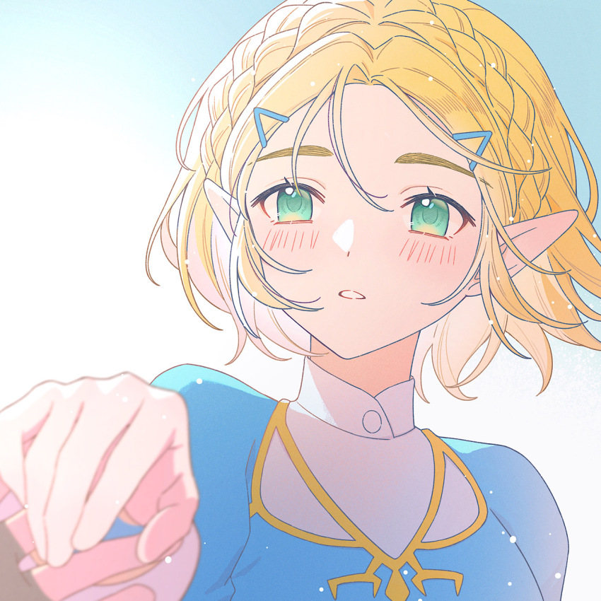 Princess Zelda (Nintendo) Rule 34 Image