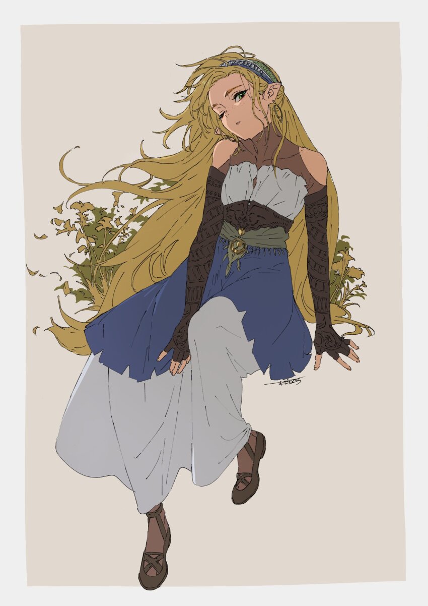 Princess Zelda (Nintendo) Rule 34 Image