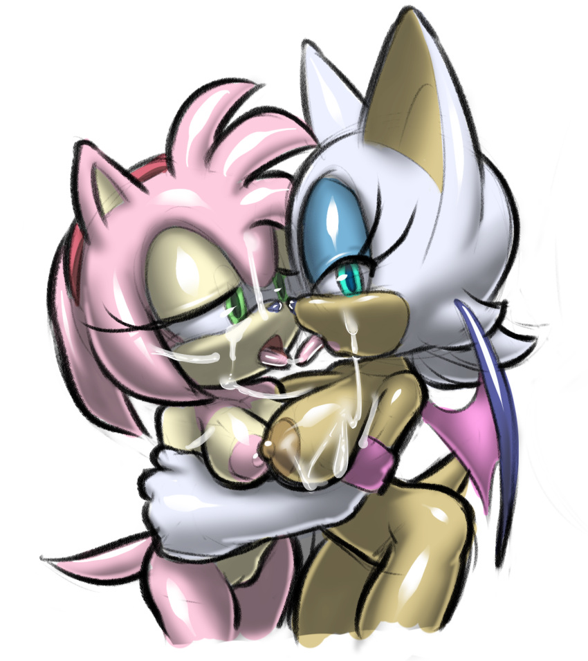 Amy Rose (Sega) Rule 34 Image