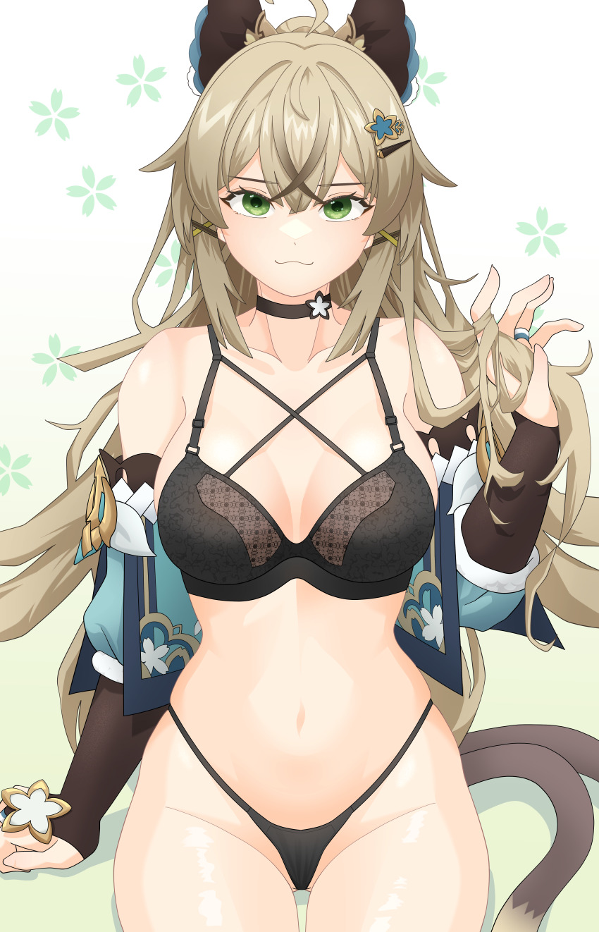 Kirara (Genshin Impact) Rule 34 Image