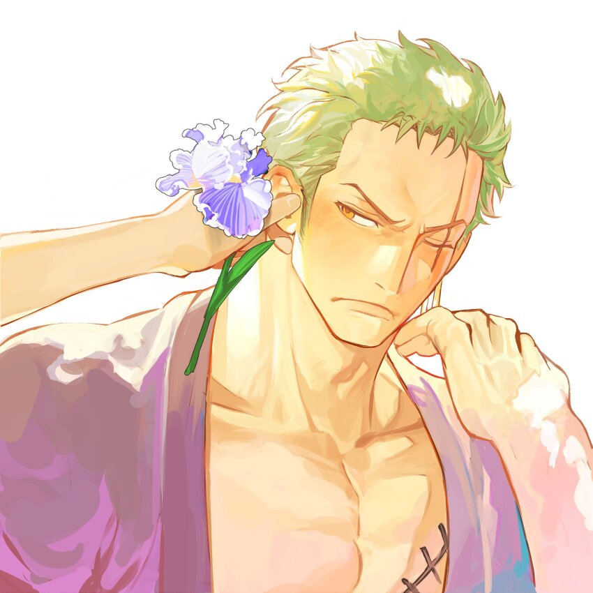 Roronoa Zoro (One Piece) Rule 34 Image