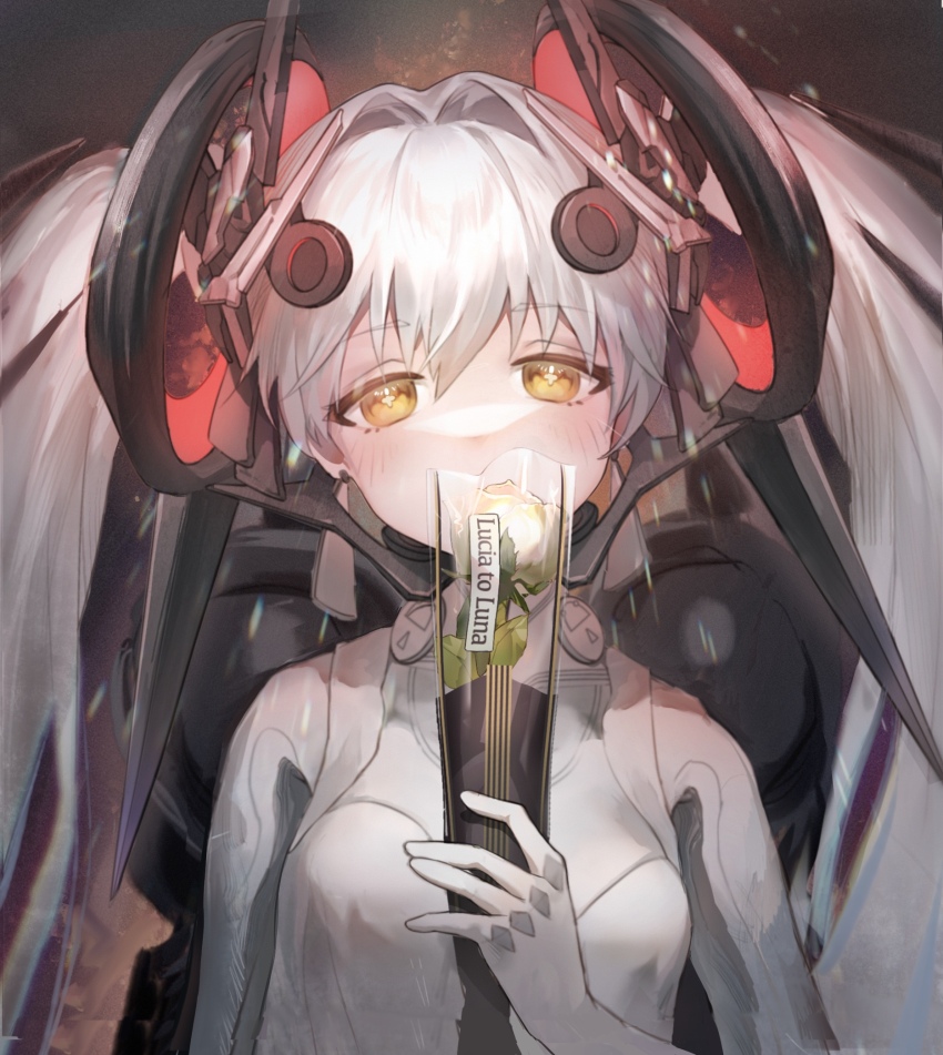 Punishing: Gray Raven Rule 34 Image