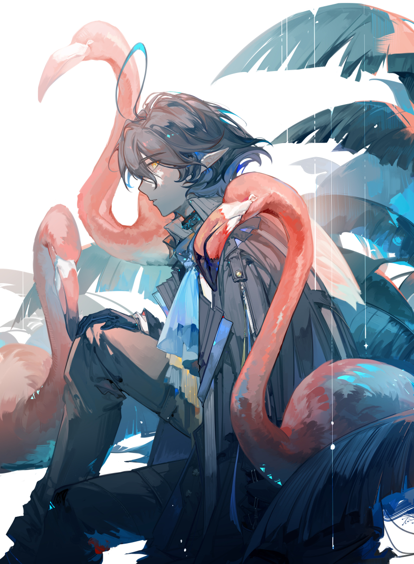 Arknights Rule 34 Image
