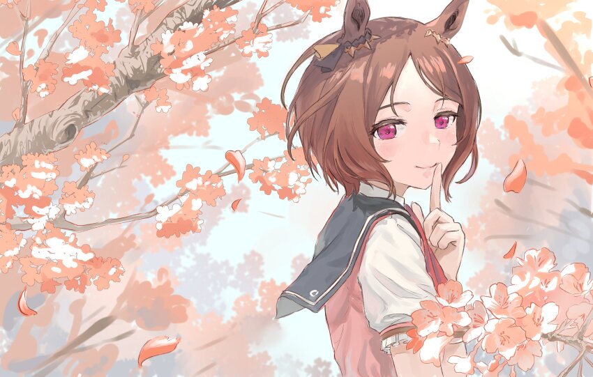 Sakura Laurel (Umamusume) Rule 34 Image