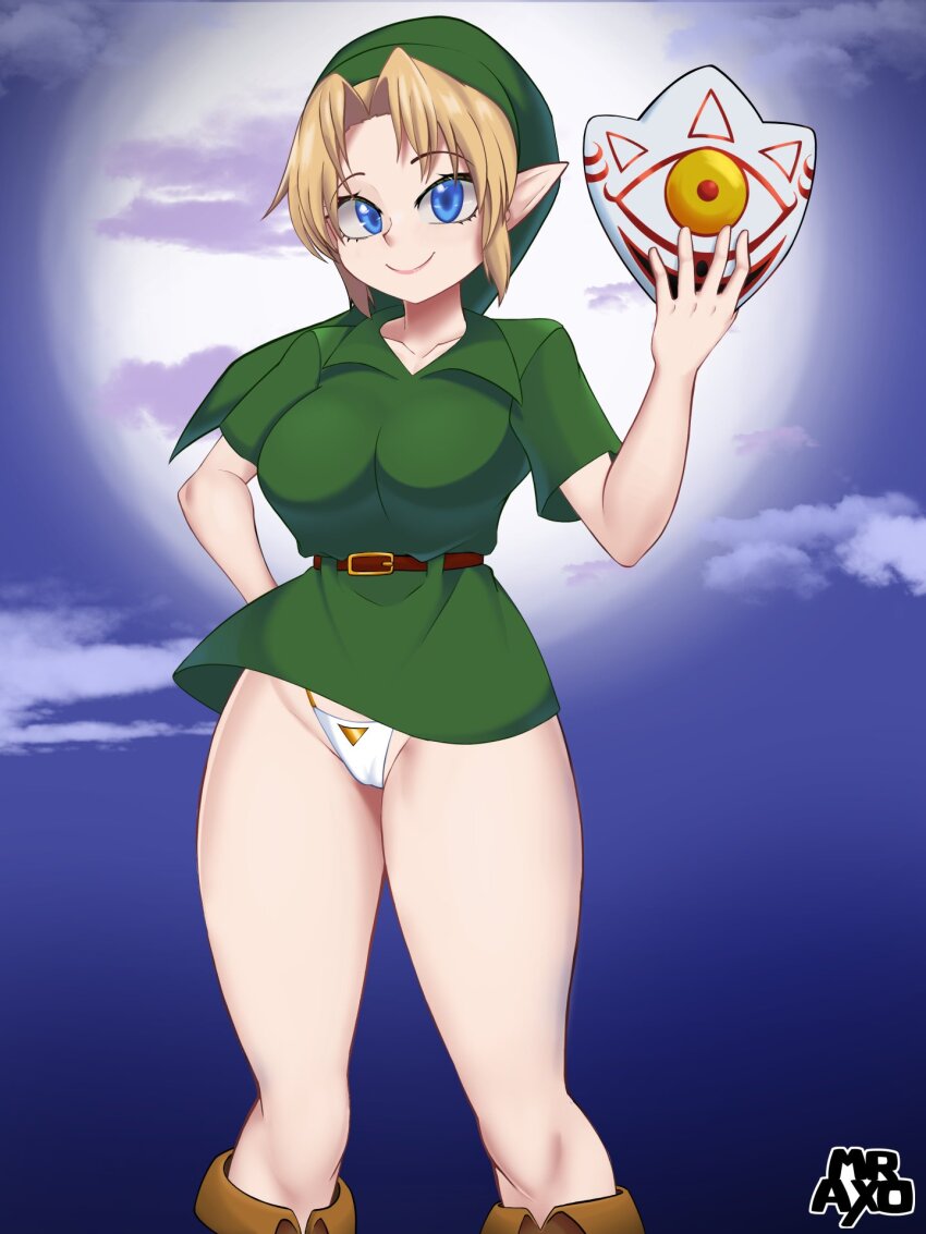 Link (Nintendo) Rule 34 Image