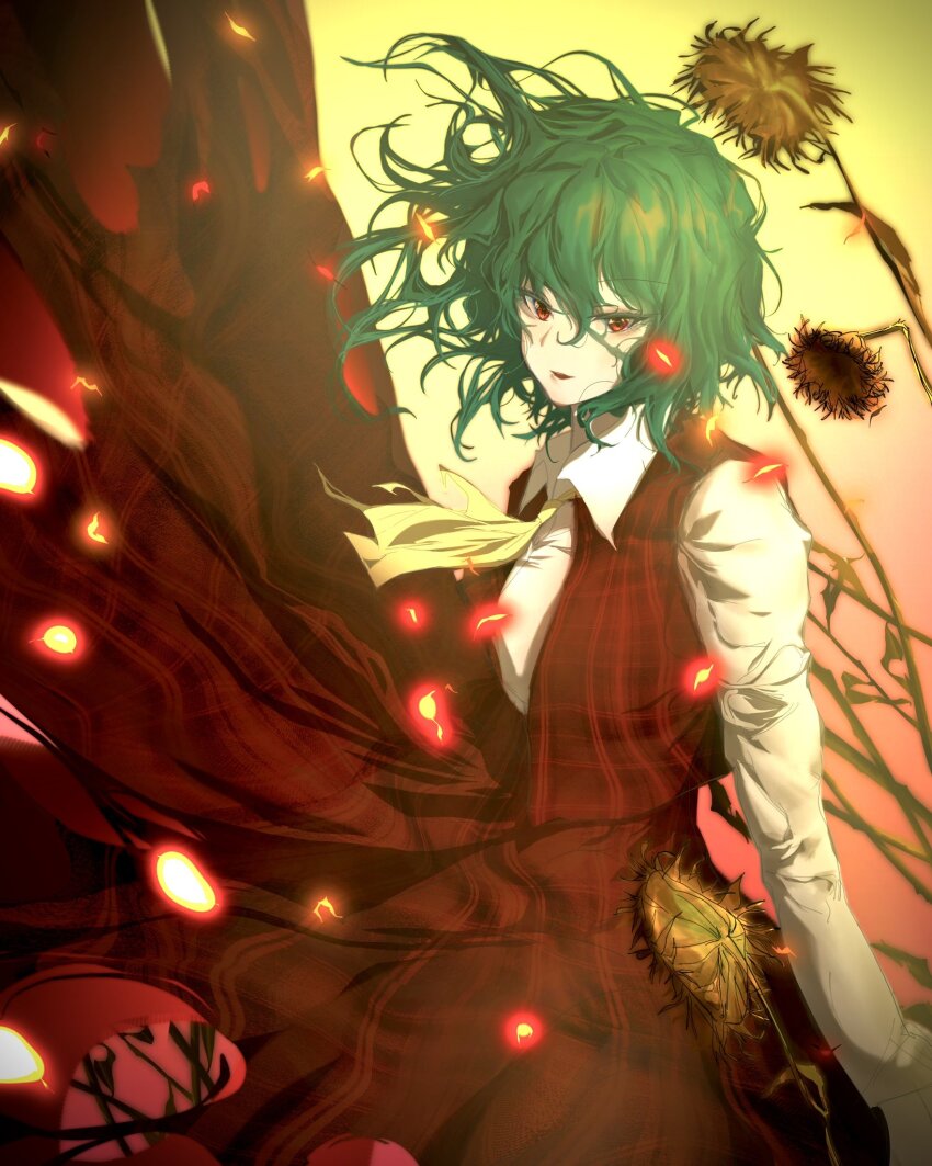 Kazami Yuuka (Touhou) Rule 34 Image