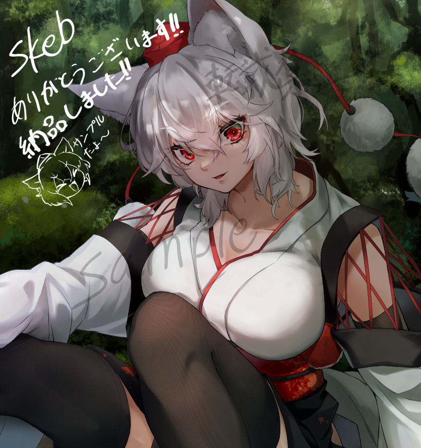 Inubashiri Momiji (Touhou) Rule 34 Image