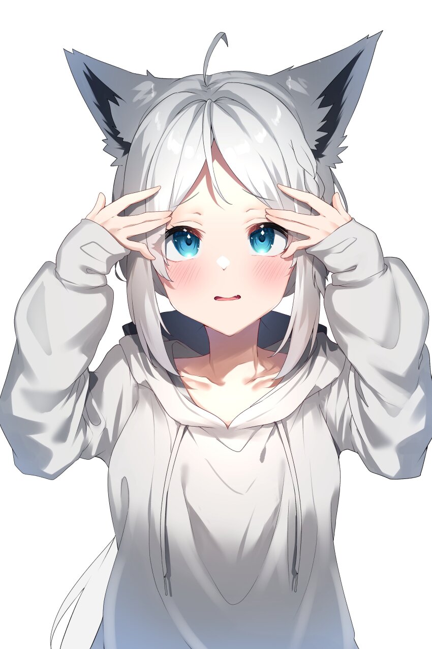 Shirakami Fubuki (Hololive) Rule 34 Image