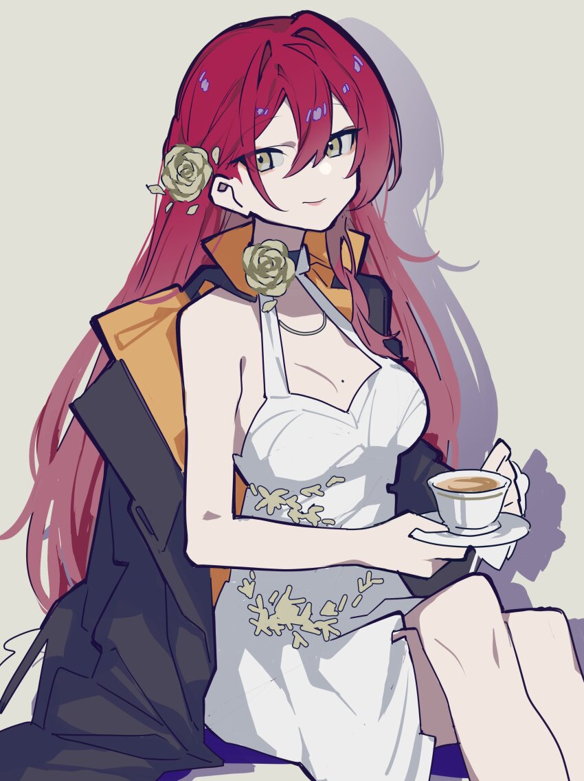 Himeko (Honkai: Star Rail) Rule 34 Image