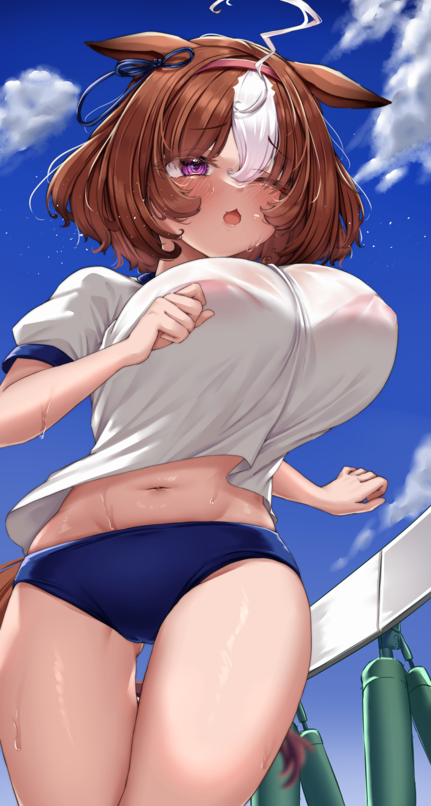 Meisho Doto (Umamusume) Rule 34 Image