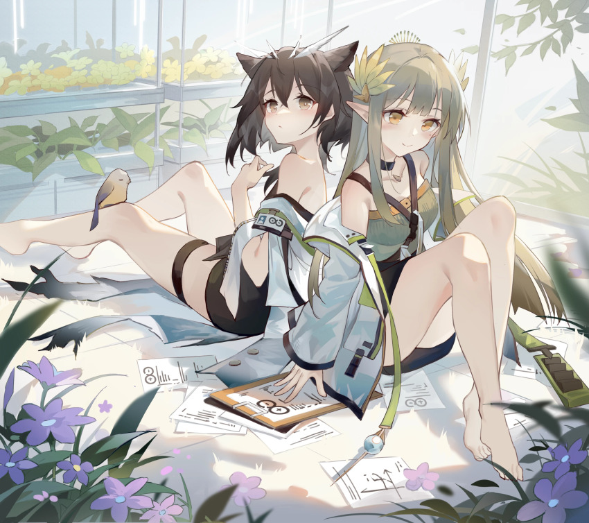 Muelsyse (Arknights) Rule 34 Image