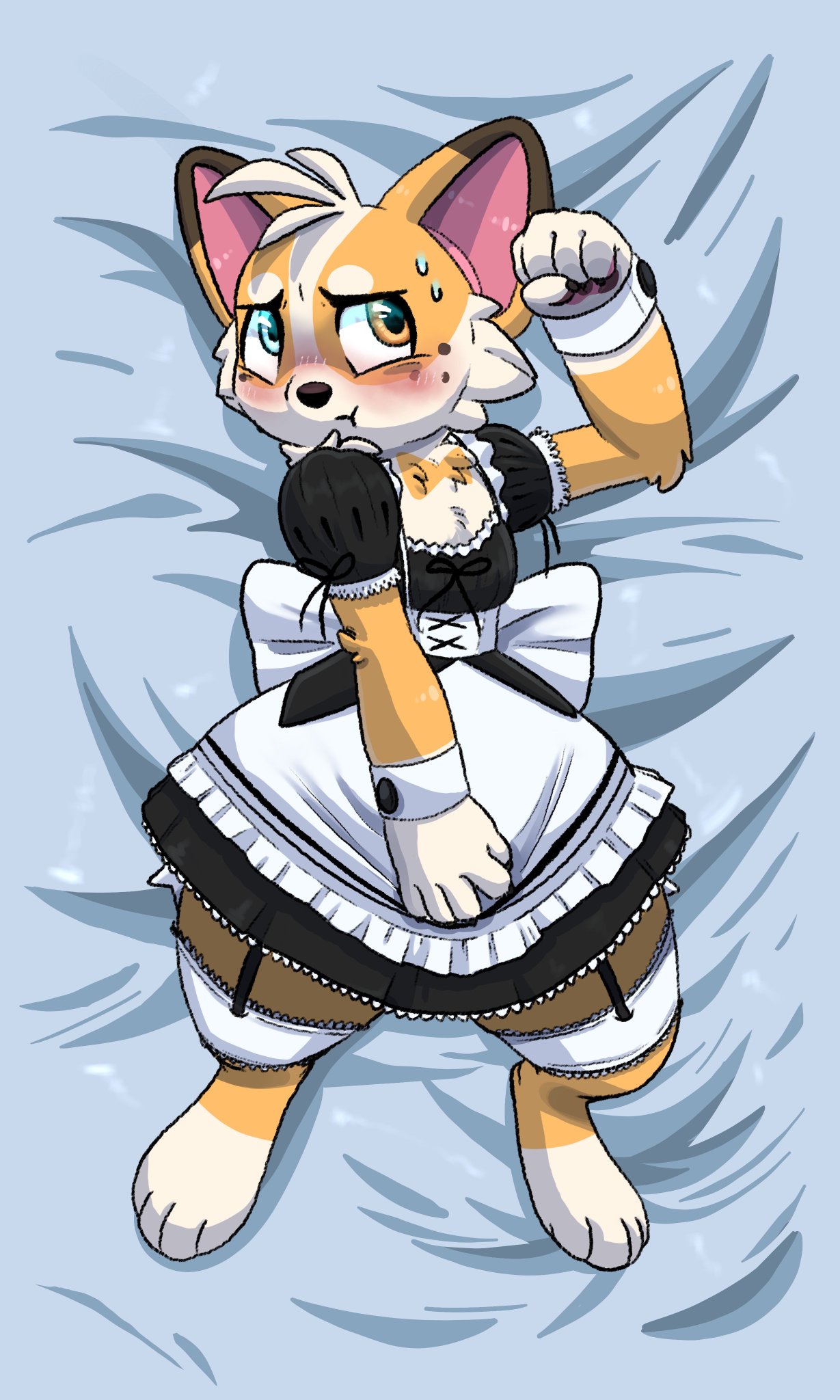Corgi (Corgicam) Rule 34 Image