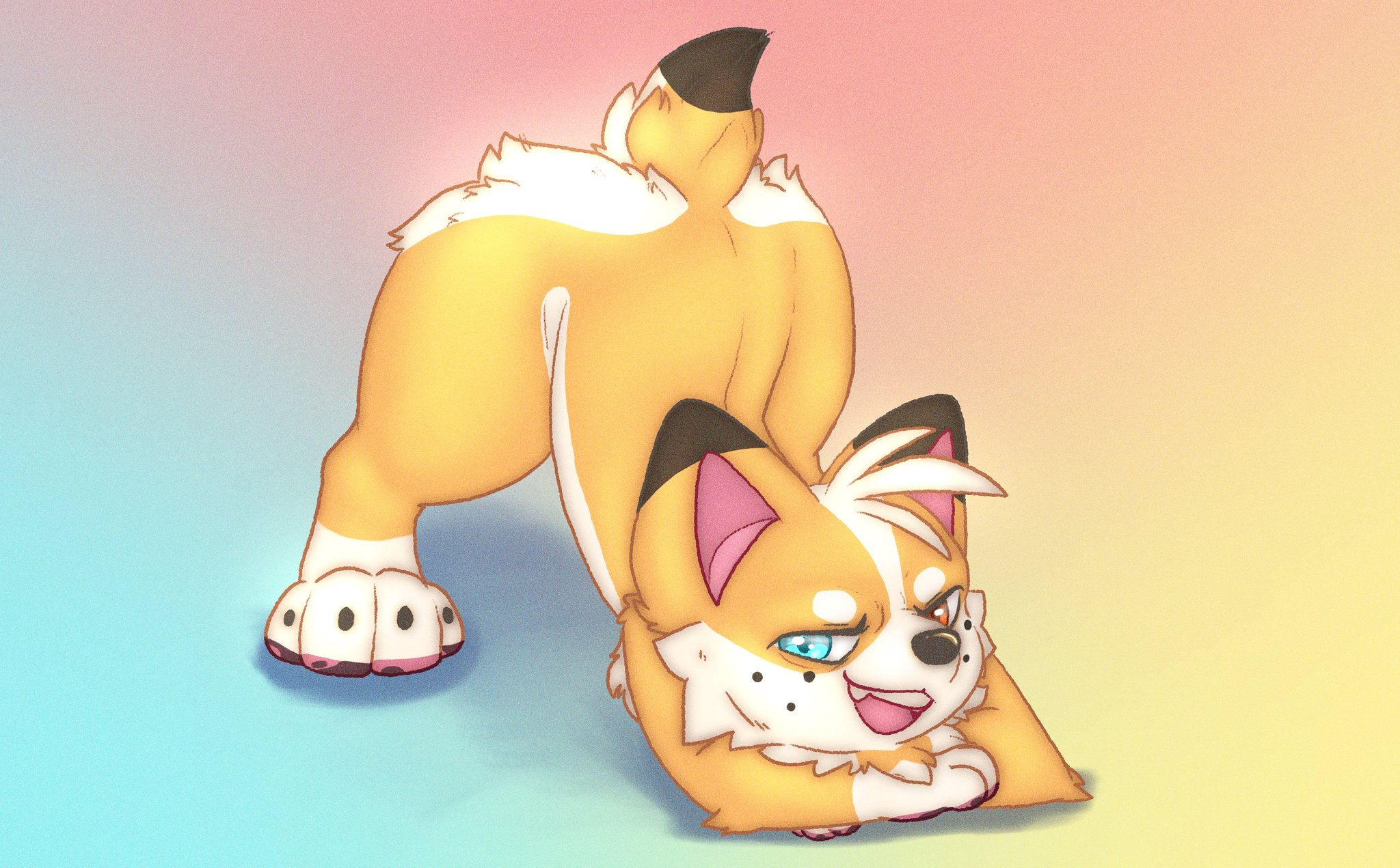 Corgi (Corgicam) Rule 34 Image