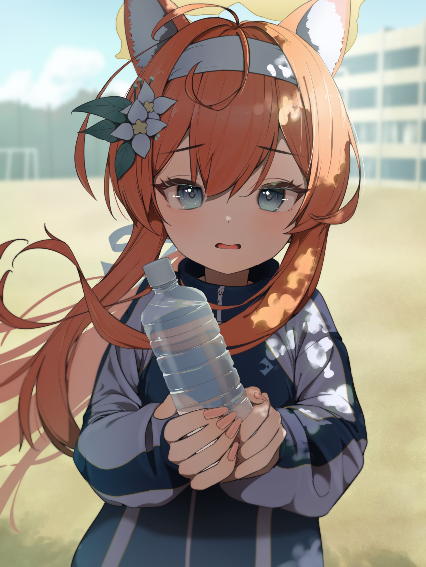 Mari (Blue Archive) Rule 34 Image