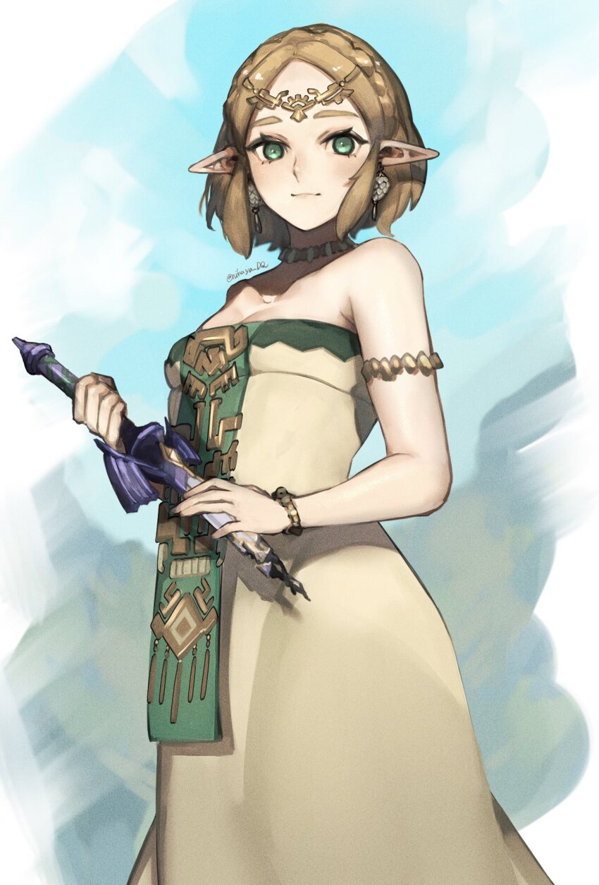 Princess Zelda (Nintendo) Rule 34 Image