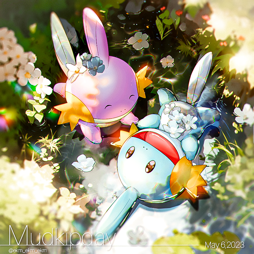 Gen 3 Pokemon (Nintendo) Rule 34 Image