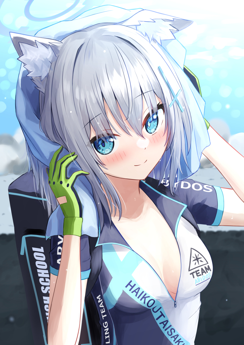 Shiroko (Blue Archive) Rule 34 Image