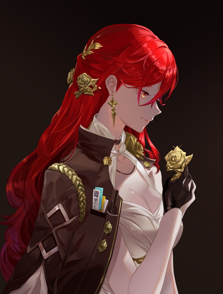 Himeko (Honkai: Star Rail) Rule 34 Image