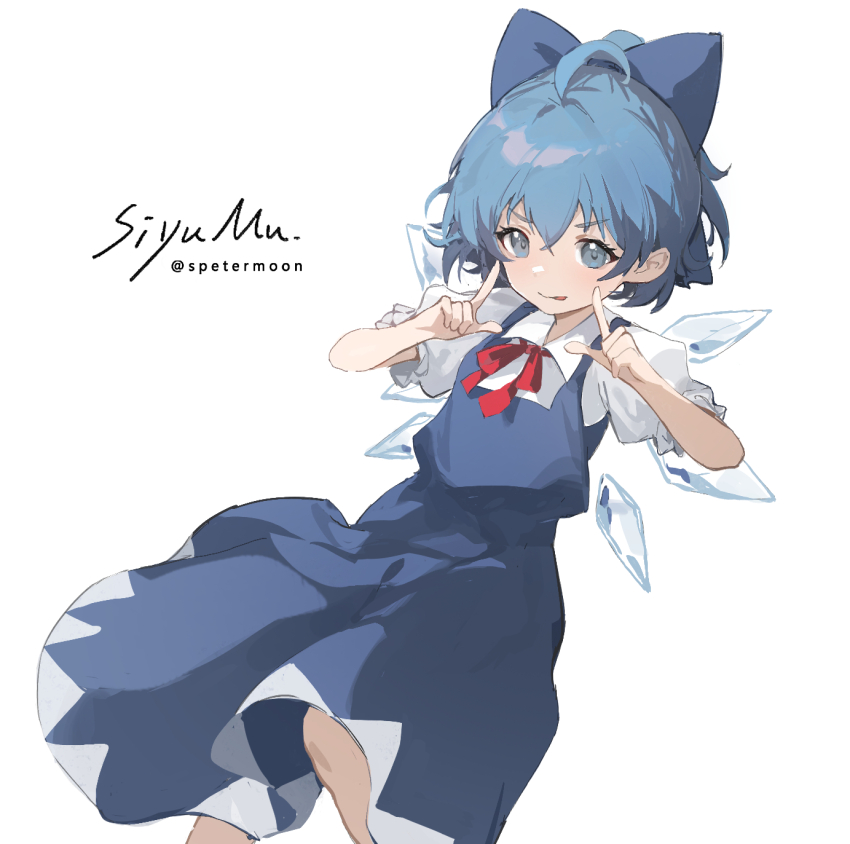 Cirno (Touhou) Rule 34 Image