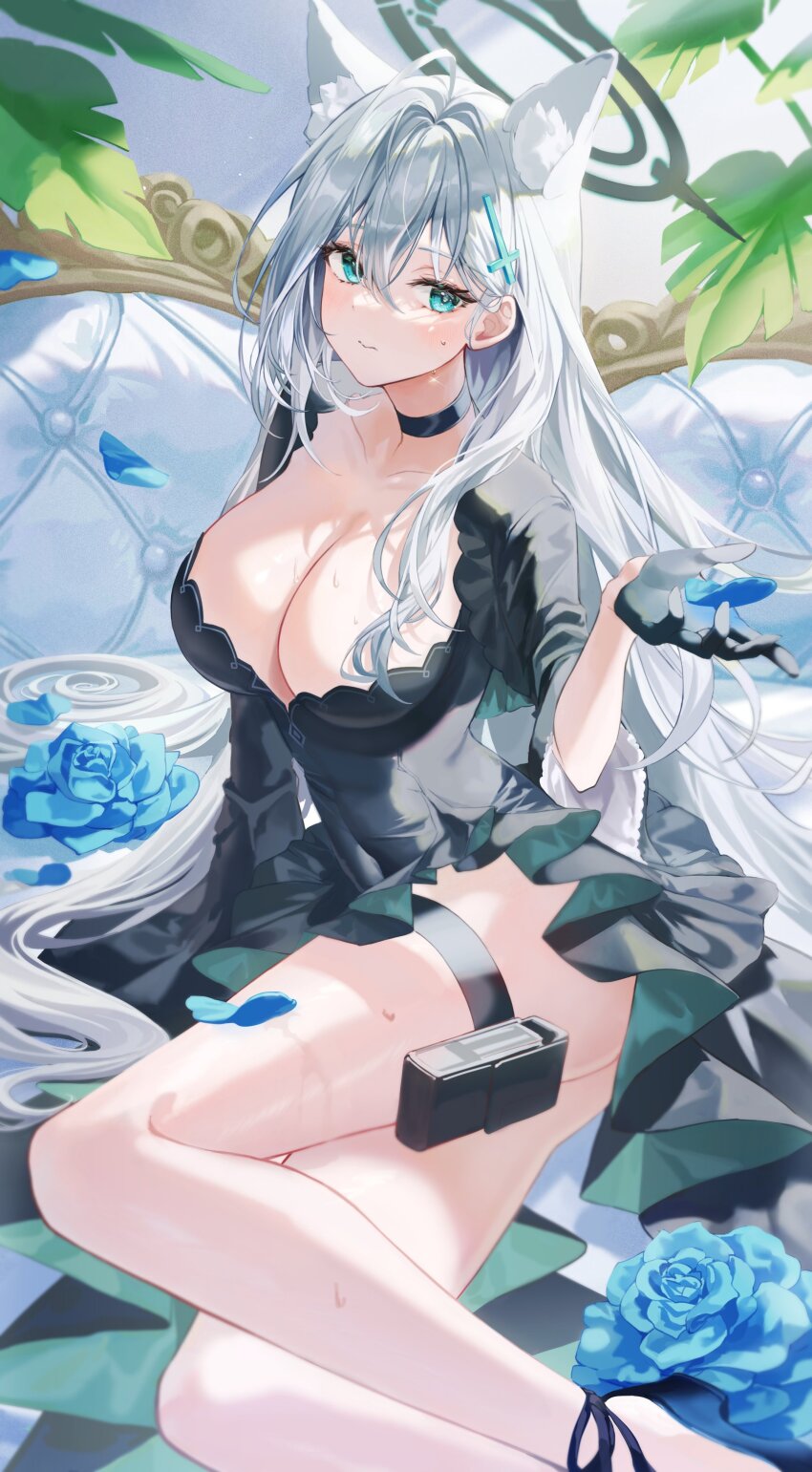Shiroko Terror (Blue Archive) Rule 34 Image