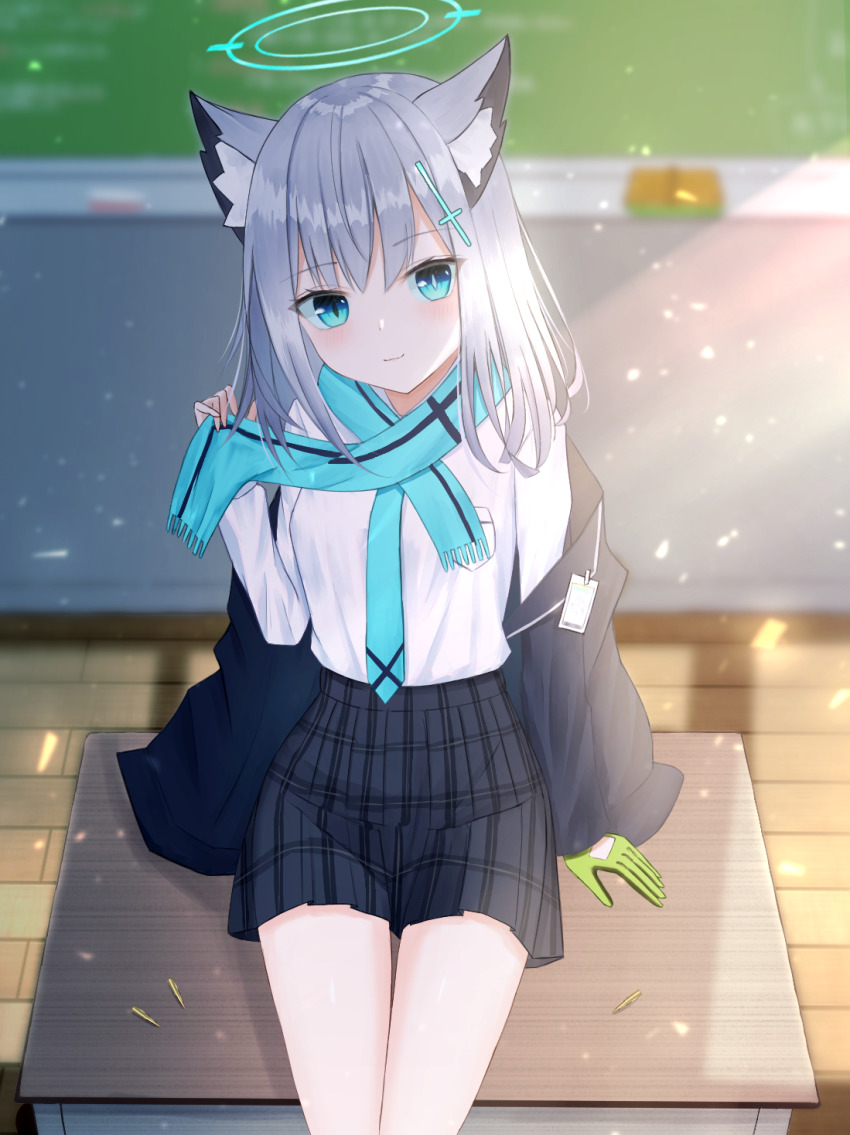 Shiroko (Blue Archive) Rule 34 Image