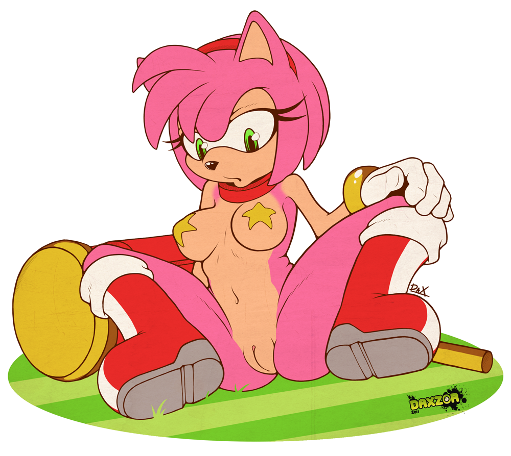 Amy Rose (Sega) Rule 34 Image