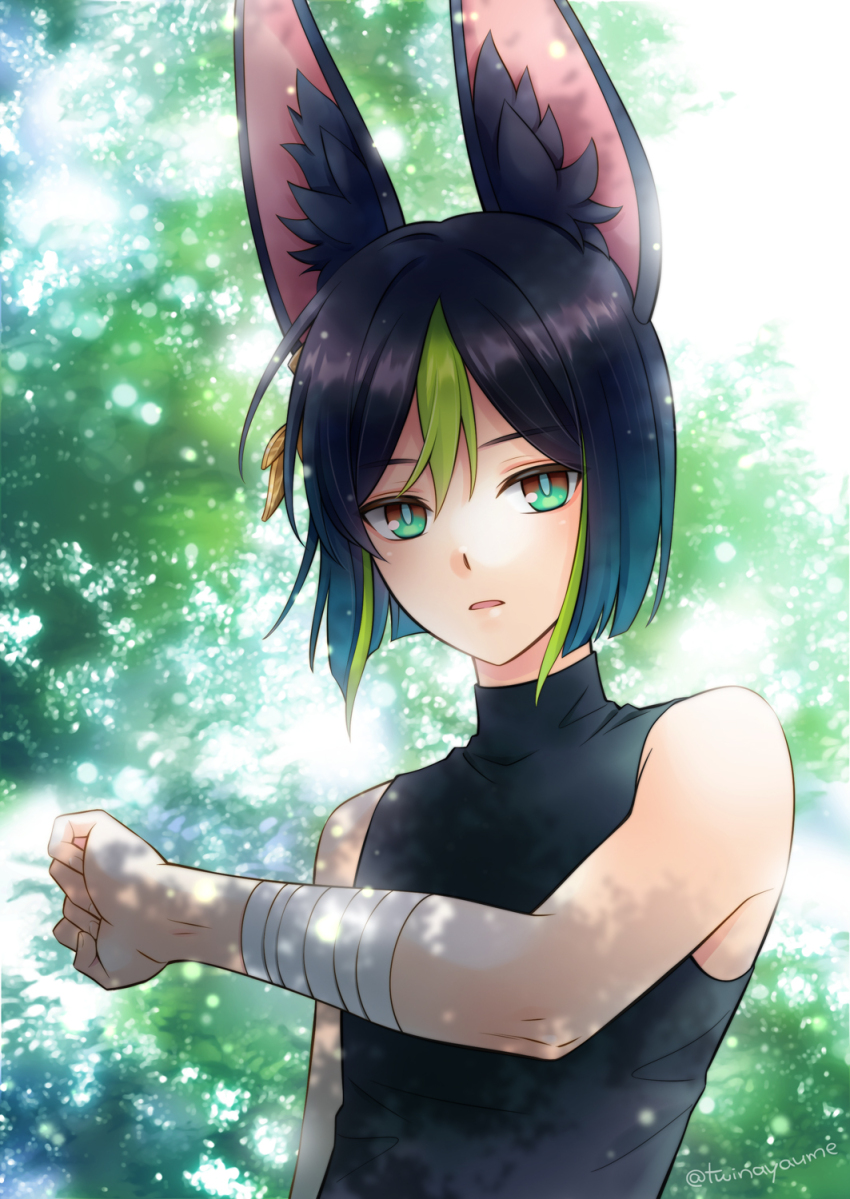 Tighnari (Genshin Impact) Rule 34 Image