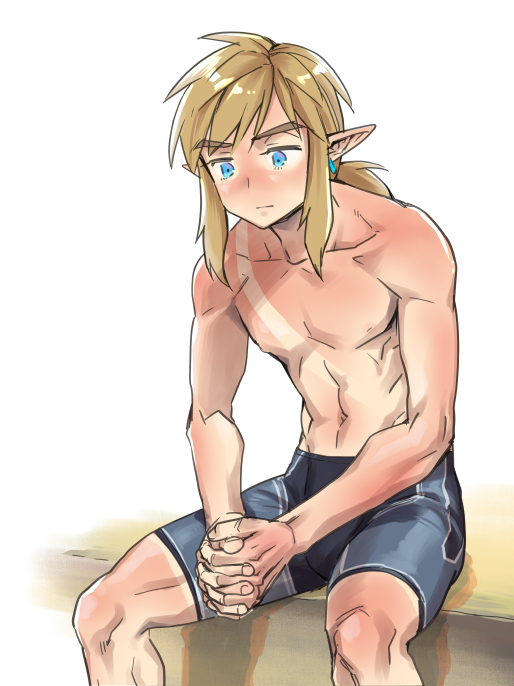 Link (Nintendo) Rule 34 Image
