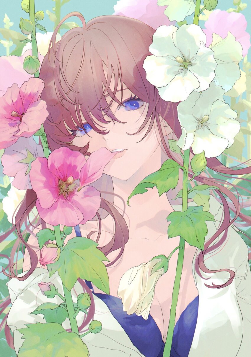 Hollyhock (Idolmaster) Rule 34 Image