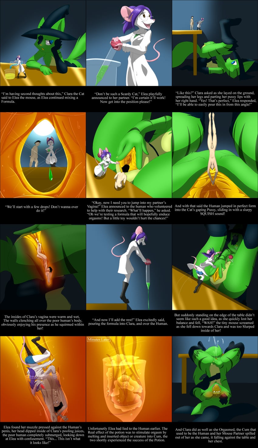 Anthro Rule 34 Image