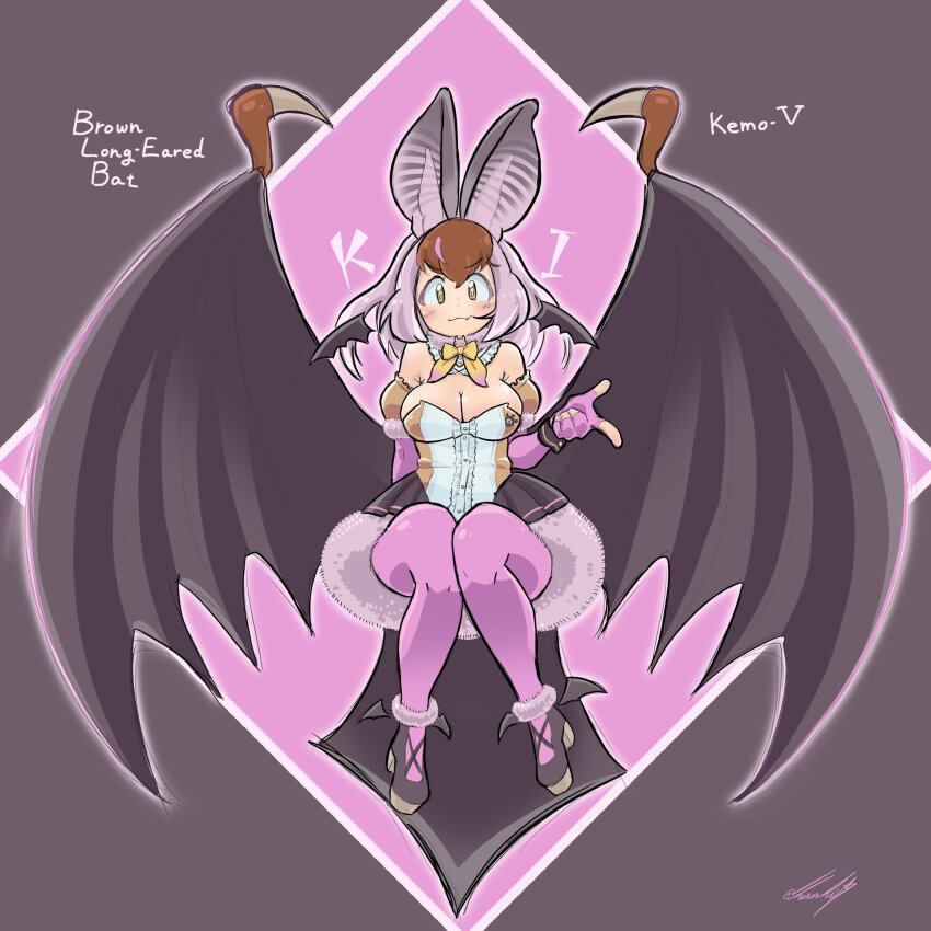 Brown Long-Eared Bat (Kemono Friends) Rule 34 Image