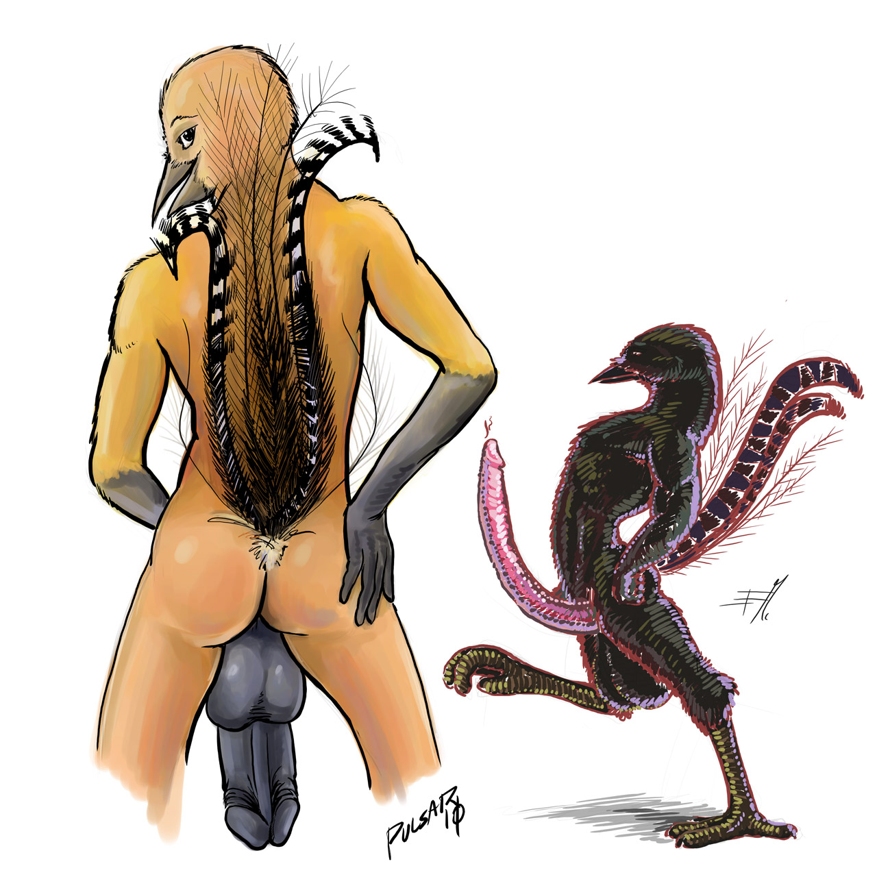 Avian Rule 34 Image
