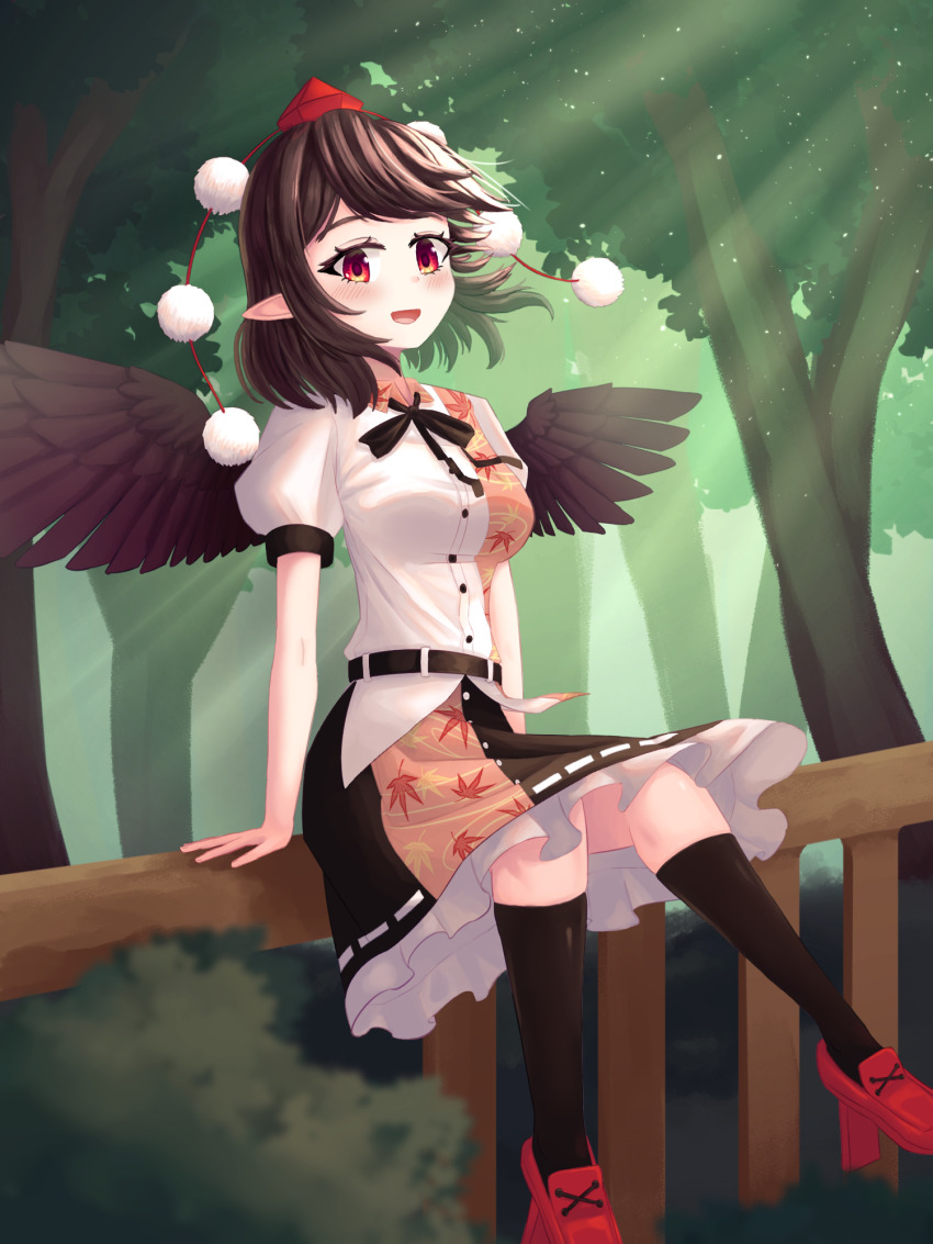 Shameimaru Aya (Touhou) Rule 34 Image