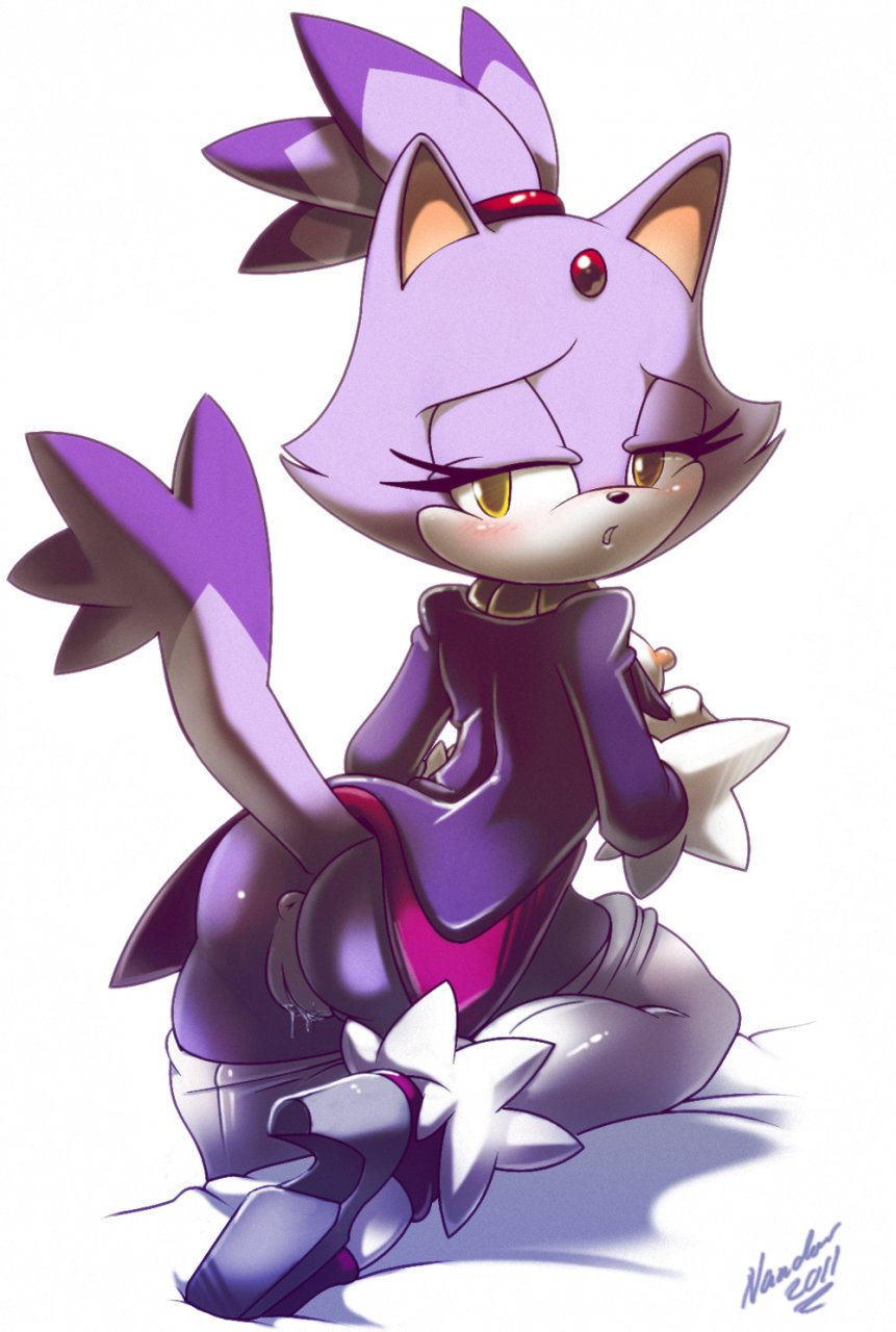 Blaze The Cat (Sega) Rule 34 Image