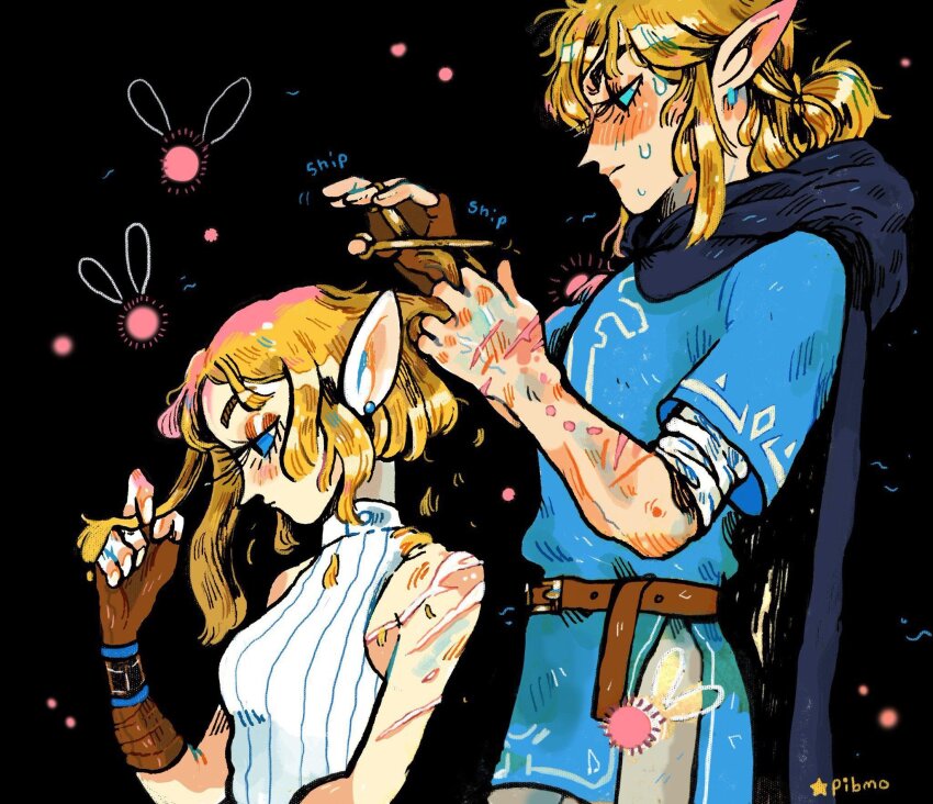 Link (Nintendo) Rule 34 Image