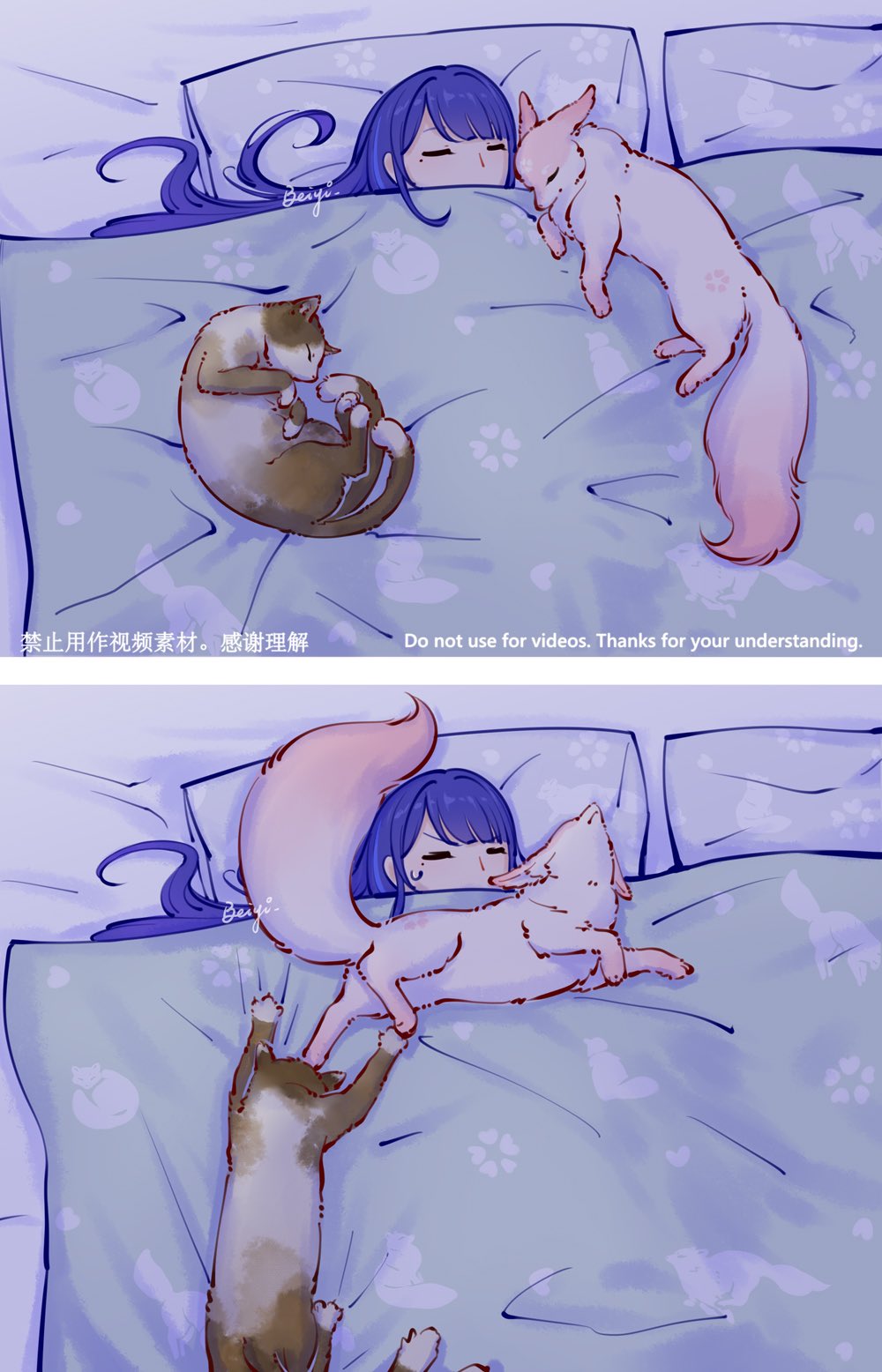 Kirara (Genshin Impact) Rule 34 Image