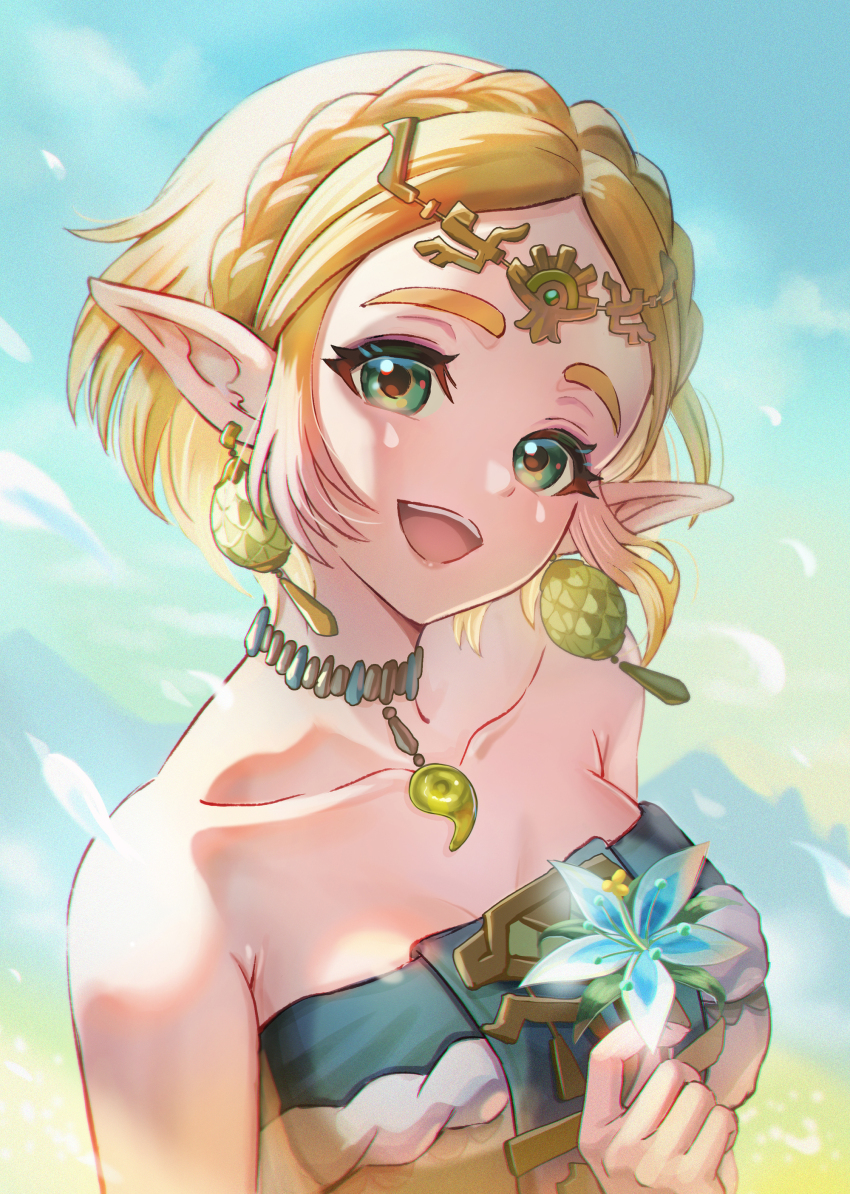 Princess Zelda (Nintendo) Rule 34 Image