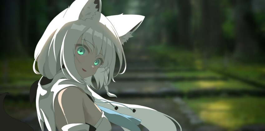 Shirakami Fubuki (Hololive) Rule 34 Image