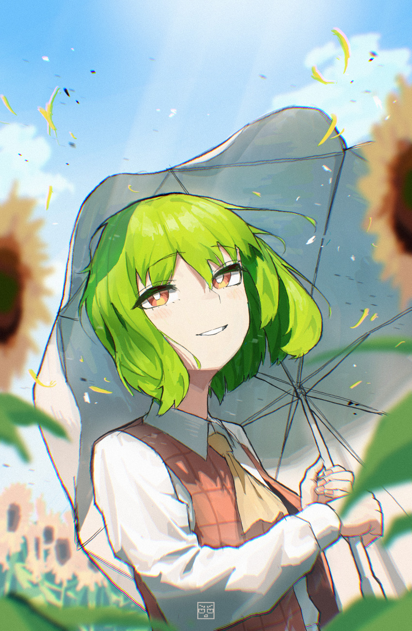 Kazami Yuuka (Touhou) Rule 34 Image