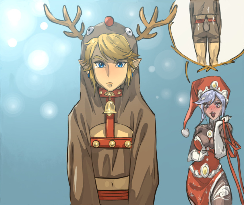 Link (Hyrule Warriors) Rule 34 Image