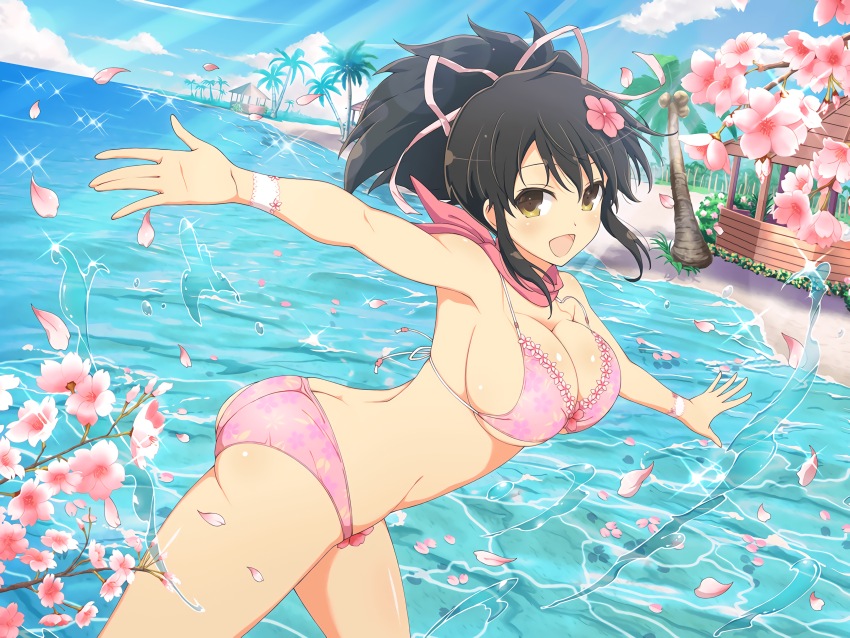 Asuka (Senran Kagura) Rule 34 Image