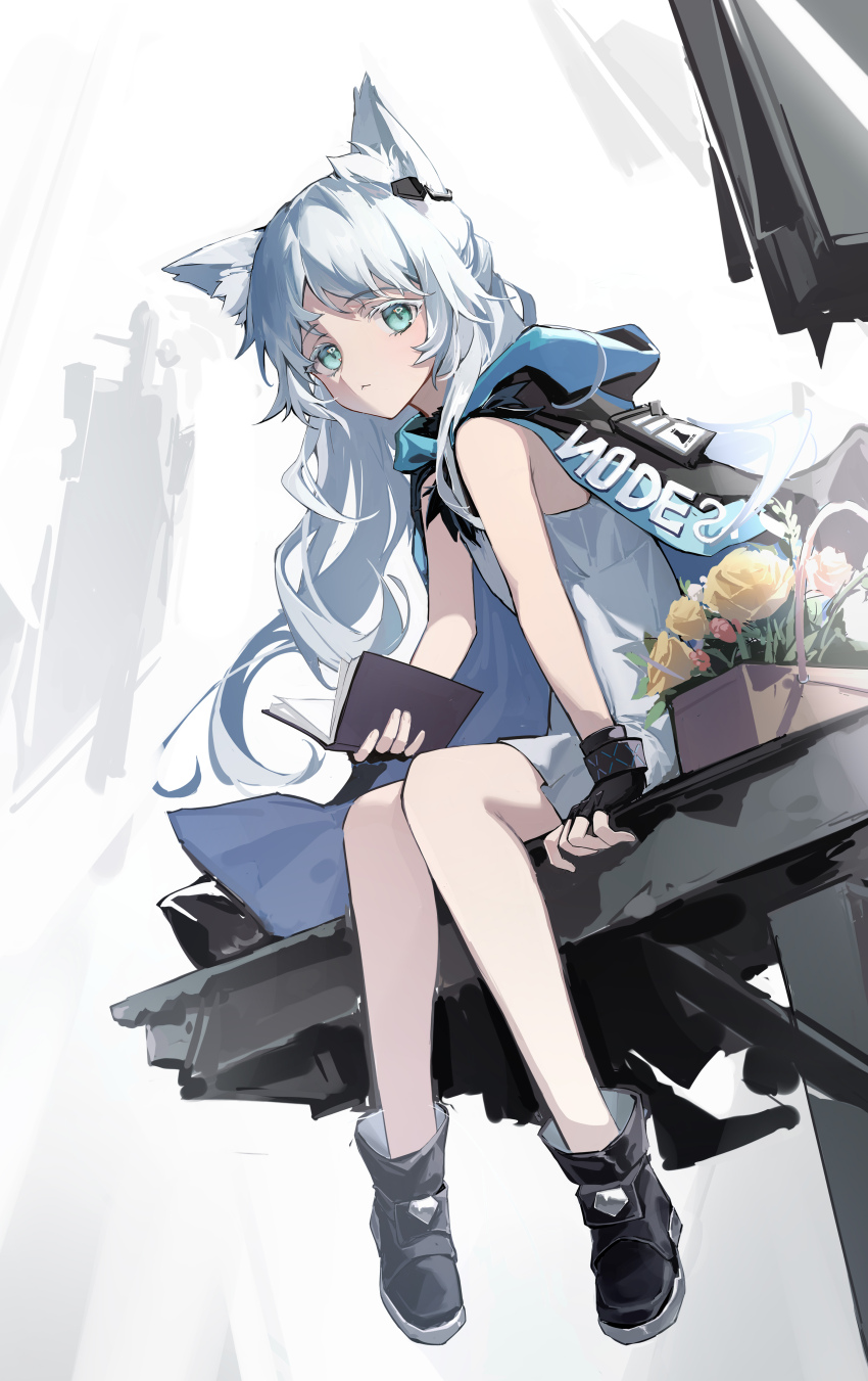 Rosmontis (Arknights) Rule 34 Image