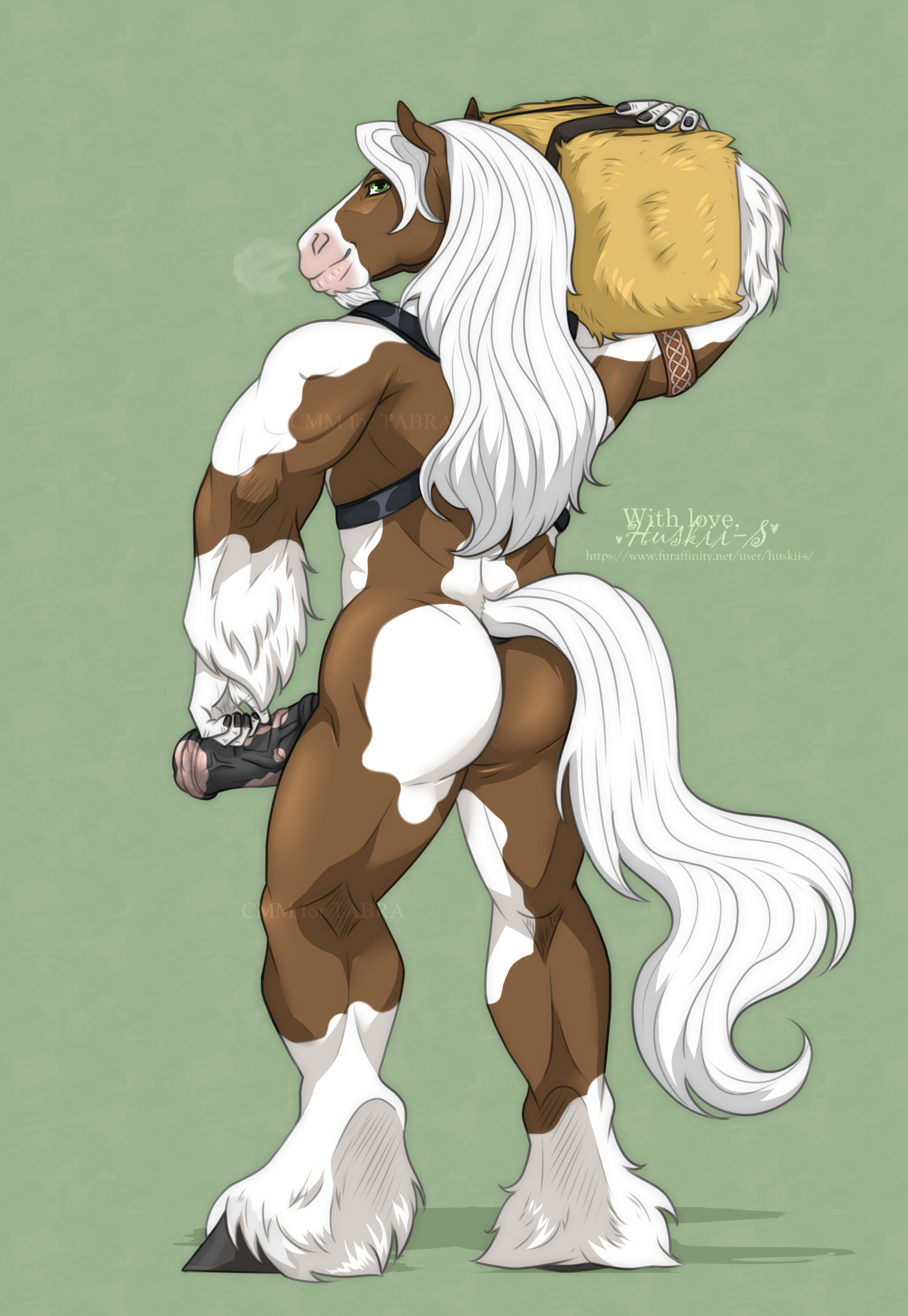 Animal Genitalia Rule 34 Image