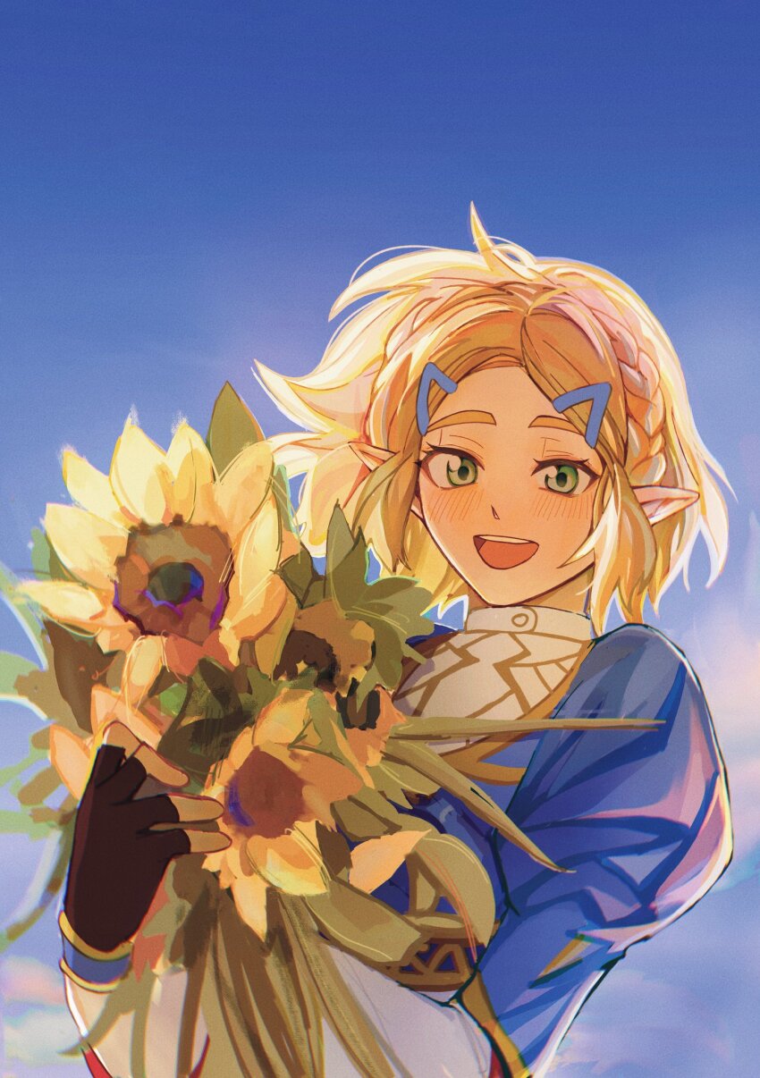 Princess Zelda (Nintendo) Rule 34 Image